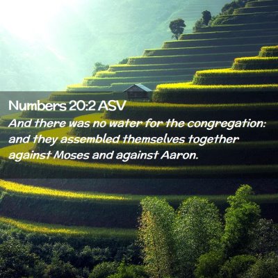 Picture 02 - Numbers 20:2 ASV - And there was no water for the congregation: and - Bible Verse Picture