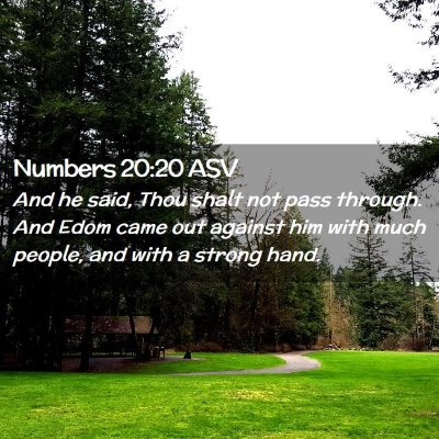 Picture 02 - Numbers 20:20 ASV - And he said, Thou shalt not pass through. And - Bible Verse Picture