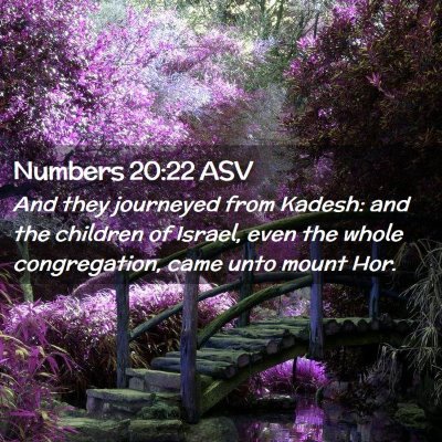 Picture 02 - Numbers 20:22 ASV - And they journeyed from Kadesh: and the children - Bible Verse Picture