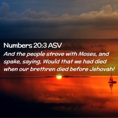Picture 02 - Numbers 20:3 ASV - And the people strove with Moses, and spake, - Bible Verse Picture
