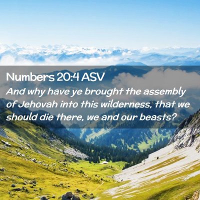 Picture 02 - Numbers 20:4 ASV - And why have ye brought the assembly of Jehovah - Bible Verse Picture