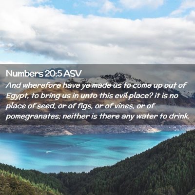 Picture 02 - Numbers 20:5 ASV - And wherefore have ye made us to come up out of - Bible Verse Picture