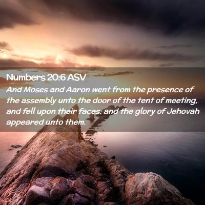 Picture 02 - Numbers 20:6 ASV - And Moses and Aaron went from the presence of the - Bible Verse Picture