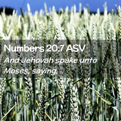 Picture 02 - Numbers 20:7 ASV - And Jehovah spake unto Moses, - Bible Verse Picture