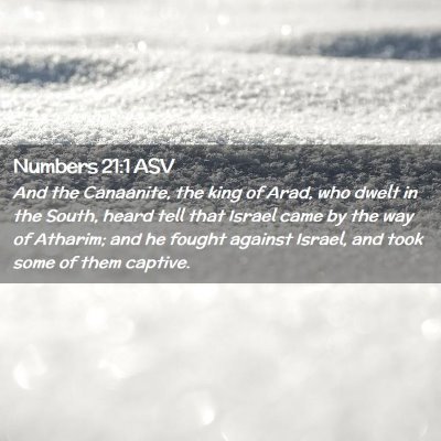 Picture 02 - Numbers 21:1 ASV - And the Canaanite, the king of Arad, who dwelt in - Bible Verse Picture
