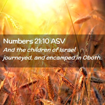 Picture 02 - Numbers 21:10 ASV - And the children of Israel journeyed, and - Bible Verse Picture