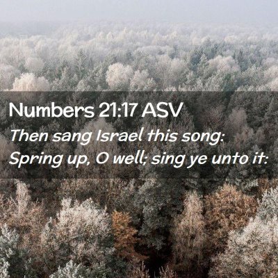 Picture 02 - Numbers 21:17 ASV - Then sang Israel this song: Spring up, O well; - Bible Verse Picture