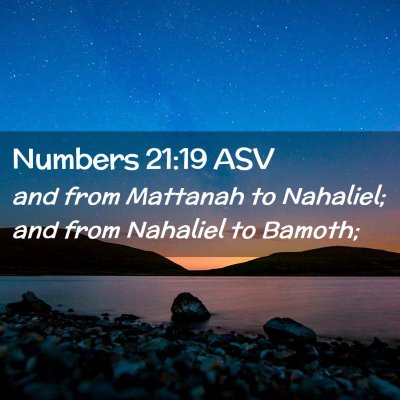 Picture 02 - Numbers 21:19 ASV - and from Mattanah to Nahaliel; and from Nahaliel - Bible Verse Picture