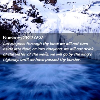 Picture 02 - Numbers 21:22 ASV - Let me pass through thy land: we will not turn - Bible Verse Picture