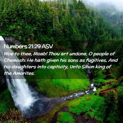 Picture 02 - Numbers 21:29 ASV - Woe to thee, Moab! Thou art undone, O people of - Bible Verse Picture