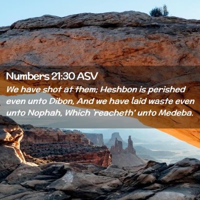 Picture 02 - Numbers 21:30 ASV - We have shot at them; Heshbon is perished even - Bible Verse Picture