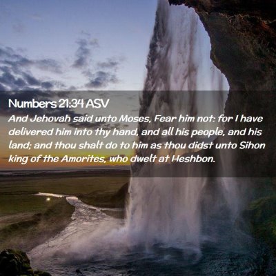Picture 02 - Numbers 21:34 ASV - And Jehovah said unto Moses, Fear him not: for I - Bible Verse Picture