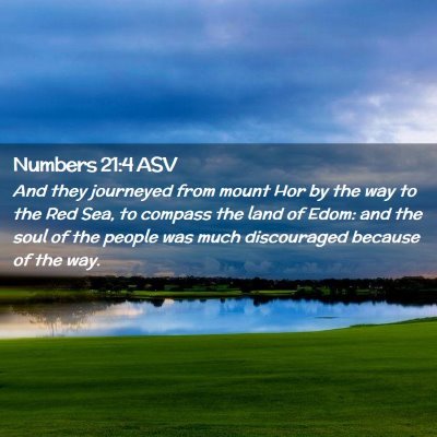 Picture 02 - Numbers 21:4 ASV - And they journeyed from mount Hor by the way to - Bible Verse Picture