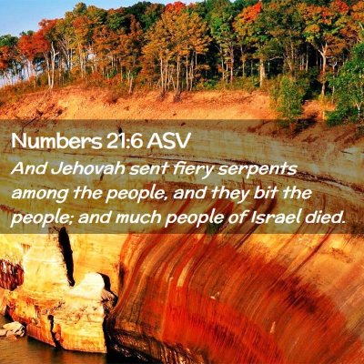 Picture 02 - Numbers 21:6 ASV - And Jehovah sent fiery serpents among the people, - Bible Verse Picture