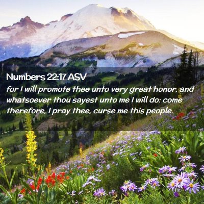 Picture 02 - Numbers 22:17 ASV - for I will promote thee unto very great honor, - Bible Verse Picture