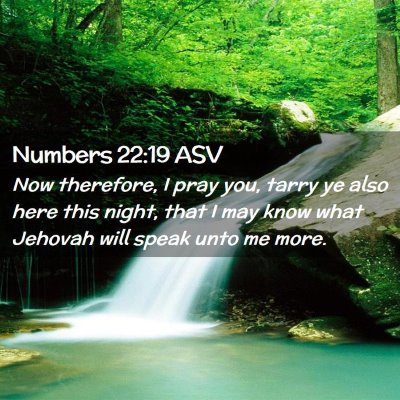 Picture 02 - Numbers 22:19 ASV - Now therefore, I pray you, tarry ye also here - Bible Verse Picture