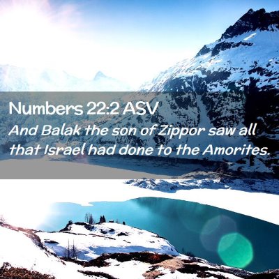 Picture 02 - Numbers 22:2 ASV - And Balak the son of Zippor saw all that Israel - Bible Verse Picture