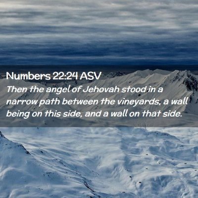 Picture 02 - Numbers 22:24 ASV - Then the angel of Jehovah stood in a narrow path - Bible Verse Picture