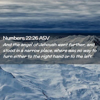 Picture 02 - Numbers 22:26 ASV - And the angel of Jehovah went further, and stood - Bible Verse Picture