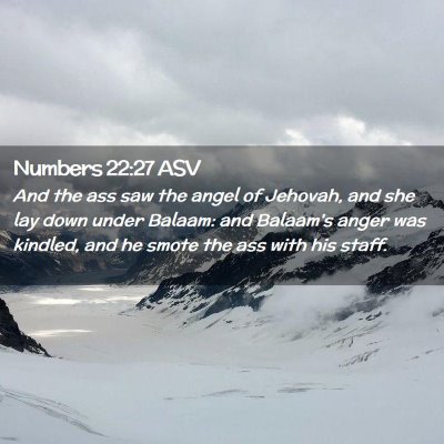 Picture 02 - Numbers 22:27 ASV - And the ass saw the angel of Jehovah, and she lay - Bible Verse Picture