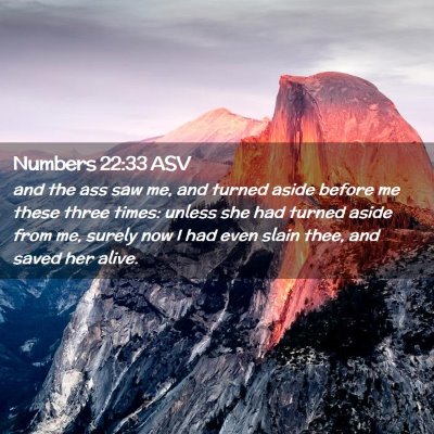 Picture 02 - Numbers 22:33 ASV - and the ass saw me, and turned aside before me - Bible Verse Picture