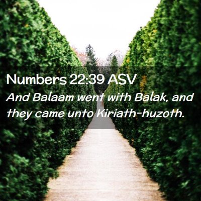 Picture 02 - Numbers 22:39 ASV - And Balaam went with Balak, and they came unto - Bible Verse Picture