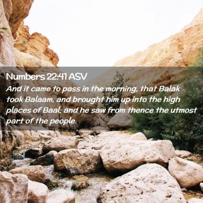 Picture 02 - Numbers 22:41 ASV - And it came to pass in the morning, that Balak - Bible Verse Picture
