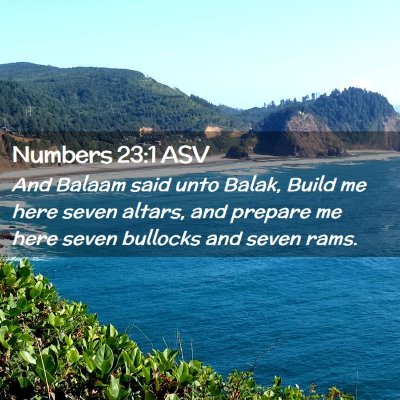 Picture 02 - Numbers 23:1 ASV - And Balaam said unto Balak, Build me here seven - Bible Verse Picture