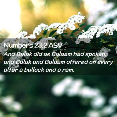 Picture 02 - Numbers 23:2 ASV - And Balak did as Balaam had spoken; and Balak and - Bible Verse Picture