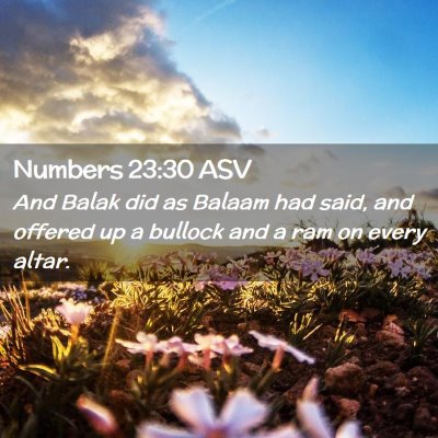 Picture 02 - Numbers 23:30 ASV - And Balak did as Balaam had said, and offered up - Bible Verse Picture