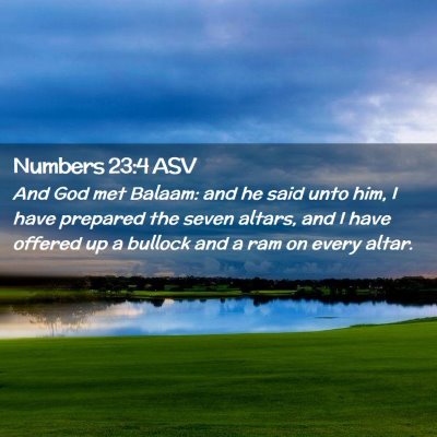 Picture 02 - Numbers 23:4 ASV - And God met Balaam: and he said unto him, I have - Bible Verse Picture