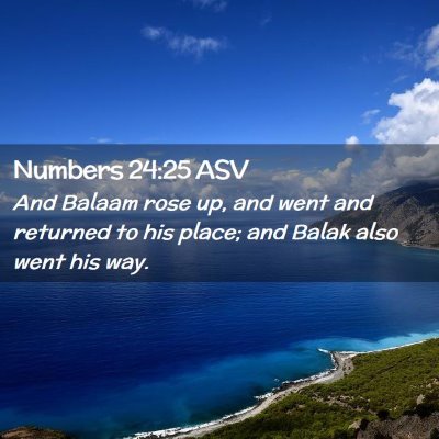 Picture 02 - Numbers 24:25 ASV - And Balaam rose up, and went and returned to his - Bible Verse Picture