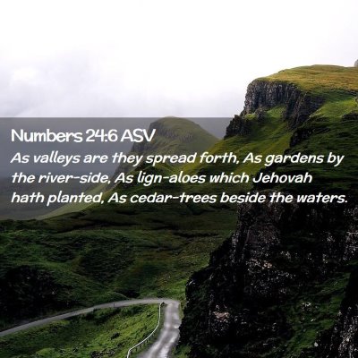 Picture 02 - Numbers 24:6 ASV - As valleys are they spread forth, As gardens by - Bible Verse Picture