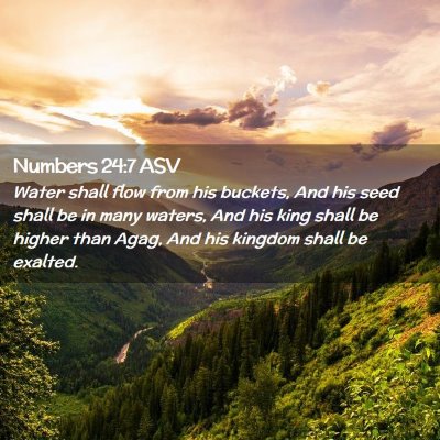 Picture 02 - Numbers 24:7 ASV - Water shall flow from his buckets, And his seed - Bible Verse Picture