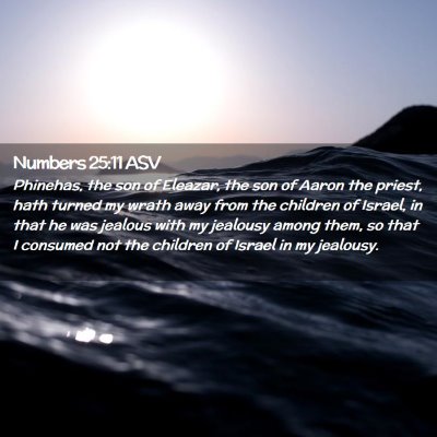 Picture 02 - Numbers 25:11 ASV - Phinehas, the son of Eleazar, the son of Aaron - Bible Verse Picture