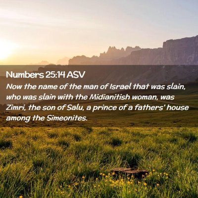 Picture 02 - Numbers 25:14 ASV - Now the name of the man of Israel that was slain, - Bible Verse Picture