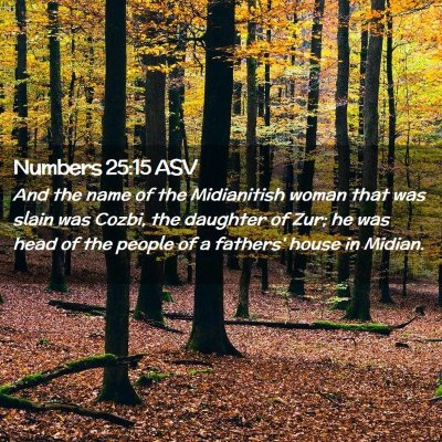 Picture 02 - Numbers 25:15 ASV - And the name of the Midianitish woman that was - Bible Verse Picture