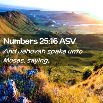 Picture 02 - Numbers 25:16 ASV - And Jehovah spake unto Moses, - Bible Verse Picture