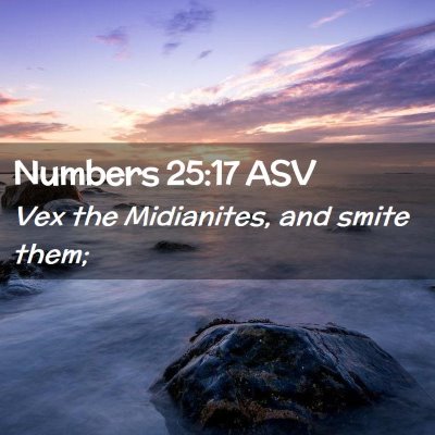 Picture 02 - Numbers 25:17 ASV - Vex the Midianites, and smite - Bible Verse Picture