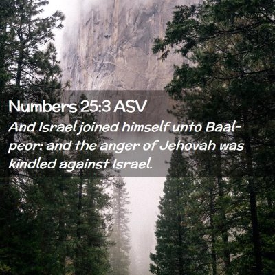 Picture 02 - Numbers 25:3 ASV - And Israel joined himself unto Baal-peor: and the - Bible Verse Picture