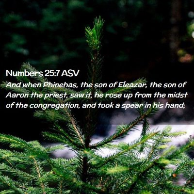 Picture 02 - Numbers 25:7 ASV - And when Phinehas, the son of Eleazar, the son of - Bible Verse Picture