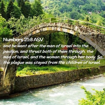 Picture 02 - Numbers 25:8 ASV - and he went after the man of Israel into the - Bible Verse Picture