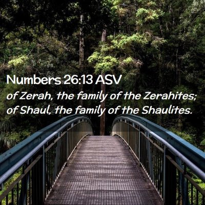 Picture 02 - Numbers 26:13 ASV - of Zerah, the family of the Zerahites; of Shaul, - Bible Verse Picture