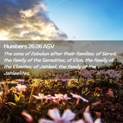 Picture 02 - Numbers 26:26 ASV - The sons of Zebulun after their families: of - Bible Verse Picture