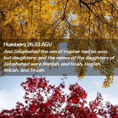 Picture 02 - Numbers 26:33 ASV - And Zelophehad the son of Hepher had no sons, but - Bible Verse Picture