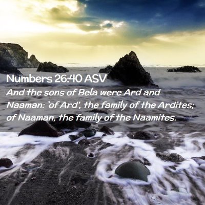 Picture 02 - Numbers 26:40 ASV - And the sons of Bela were Ard and Naaman: `of - Bible Verse Picture