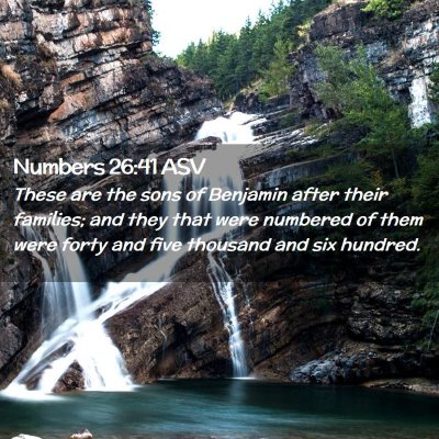 Picture 02 - Numbers 26:41 ASV - These are the sons of Benjamin after their - Bible Verse Picture