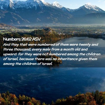 Picture 02 - Numbers 26:62 ASV - And they that were numbered of them were twenty - Bible Verse Picture