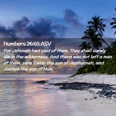 Picture 02 - Numbers 26:65 ASV - For Jehovah had said of them, They shall surely - Bible Verse Picture