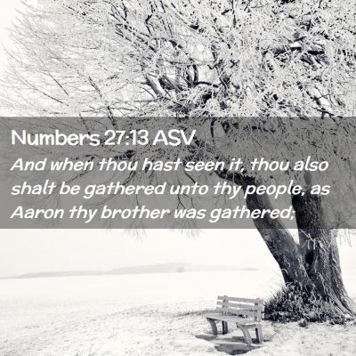 Picture 02 - Numbers 27:13 ASV - And when thou hast seen it, thou also shalt be - Bible Verse Picture